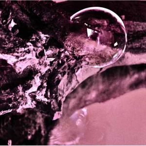 Visioni. Oltre lo sguardo