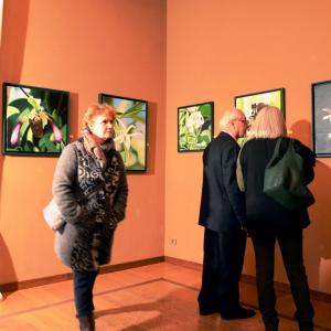 PROFUMI E COLORI MOSTRA A MODENA