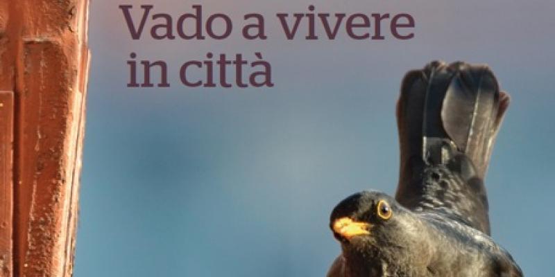 Vado a vivere in città Vado a vivere in città