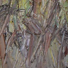 Incontri, particolare