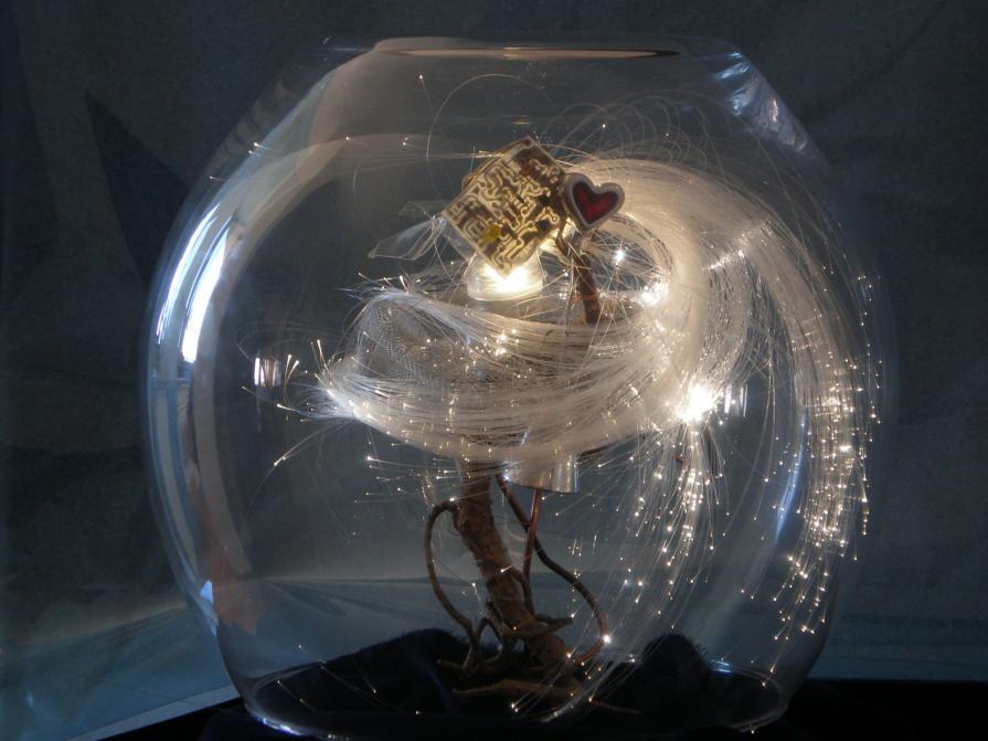 microcip in area di sosta