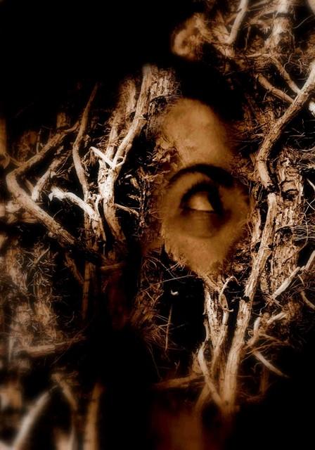 tra sogno e inquieto - monica