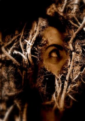 tra sogno e inquieto - monica