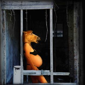 Donna cavallo: brezza notturna