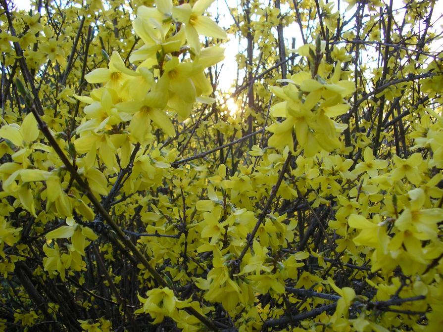 ...trafitto da un raggio di sole...