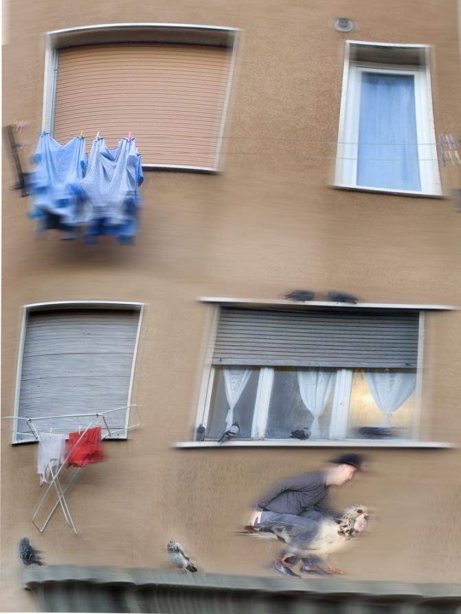 alzo gli occhi e vedo una scena fantastica.