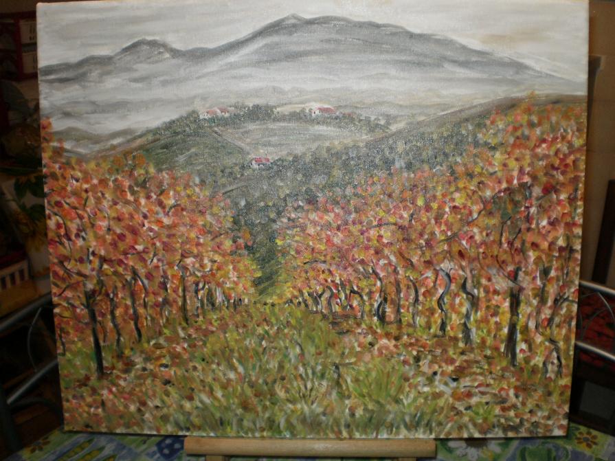 Paesaggio autunnale con filari di  viti
