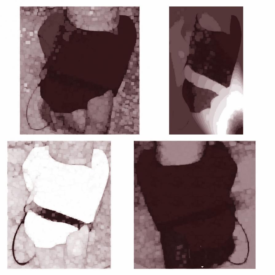 Frankenstein bride  (2) 2013