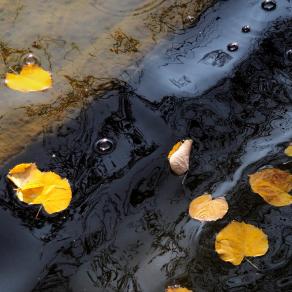 La consapevolezza di "scorrere" 