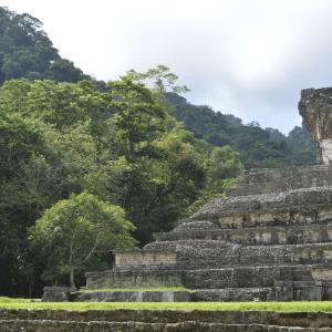 Palenque 3