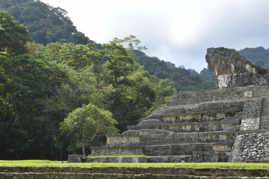 Palenque 3