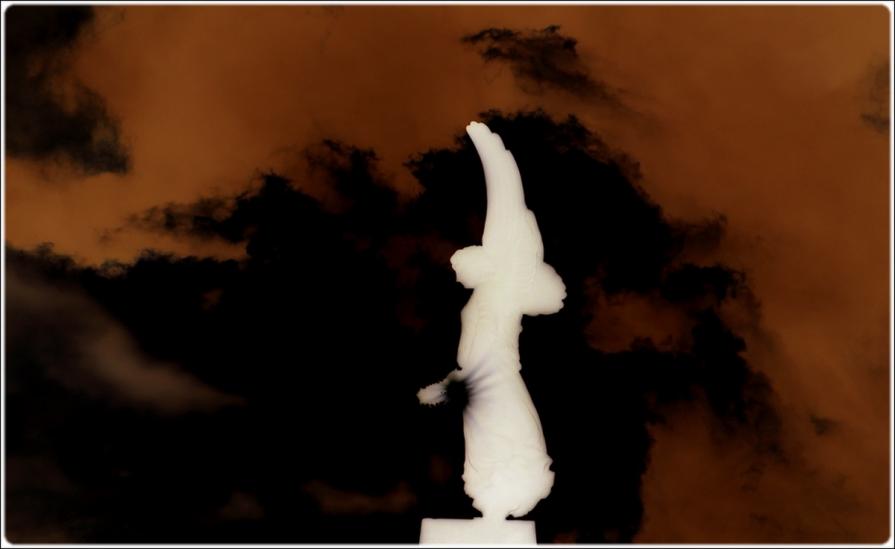 postcard from vienna