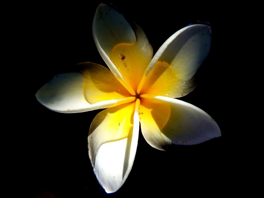 Creation of perfection 