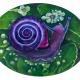 Violet snail COLLEZIONE PRIVATA