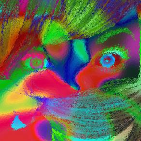 . . . GUARDAMI NEGLI OCCHI !!! . . . 