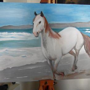 Spirits Cavallo Selvaggio