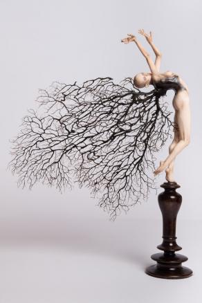 Alcyonacea - Movimento 3