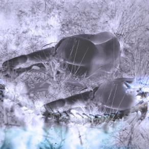 As nymphes of the sweet waters. 