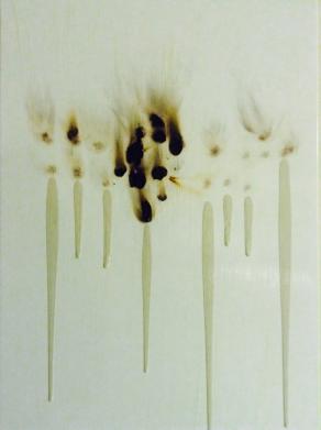 Combustione particolare