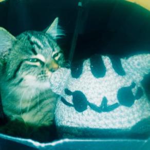 Simpatico  amigurumi