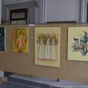 Planta il giardino e non solo