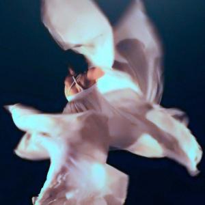 Emozioni tra sogno e realtà MOSTRA FOTOGRAFICA CLUB MERIDIANA