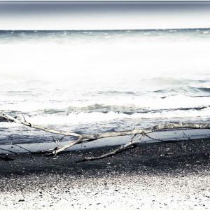 Undicesimo Step Espositivo del Premio Art Caffè Letterario