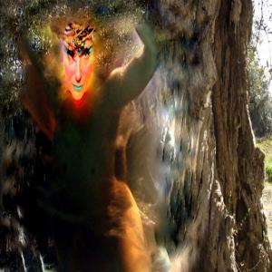 “Contemporary Art in Arte la mia seconda pelle”