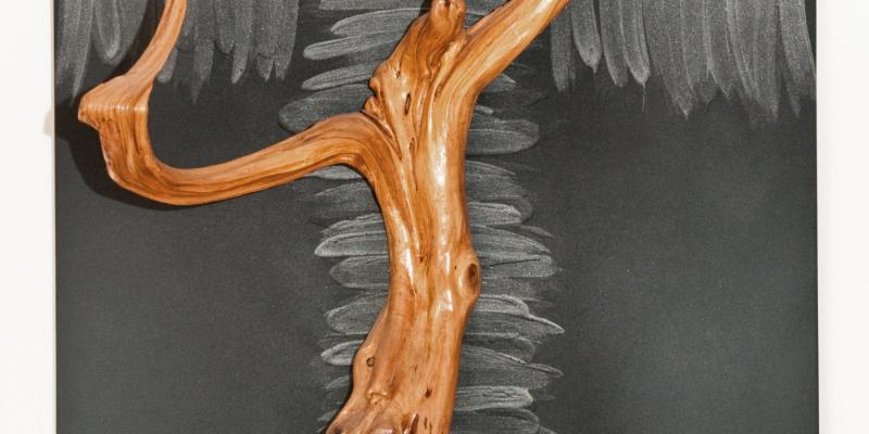 premio galleria d'arte de' marchi