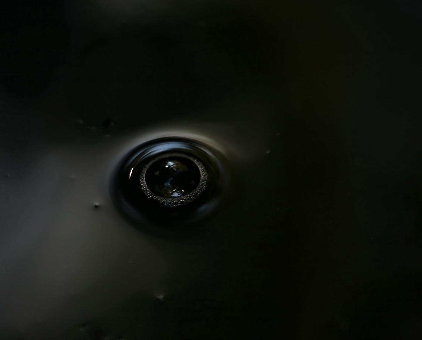 concorso fotografico National Geographic 2011