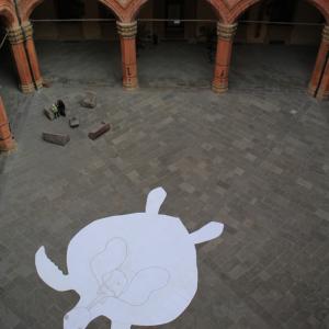 the great turtle and his dancing organs