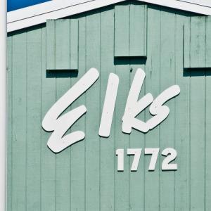 USA. Alaska 1/3. Forme di vita