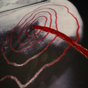 AUTHORS V - ACCORSI ART