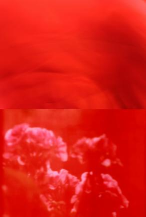 Senti il mio sangue rotto tra i violini?