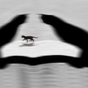 trisssss d'amore....