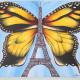 Butterfly in Paris