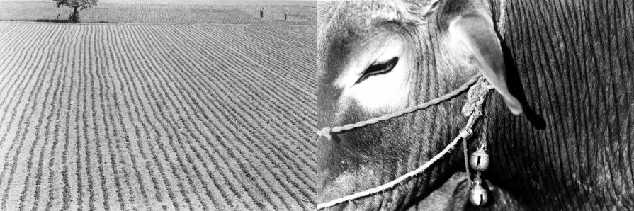 serie sublim-azioni 007