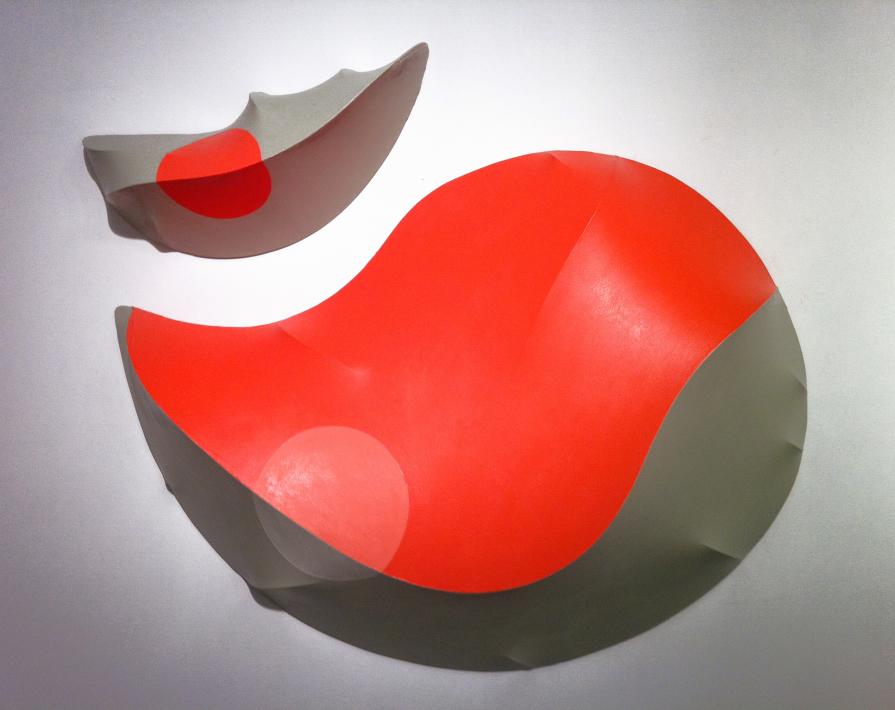 Number 25, Vertebrate Companion Series Number 25, Vertebrate Companion Series