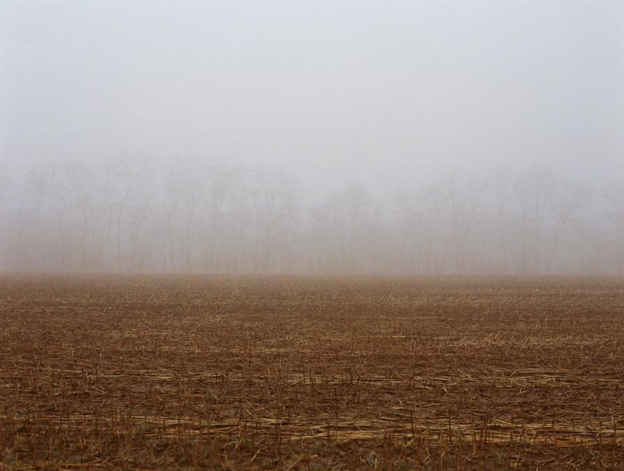 Untitled #5 Untitled #5