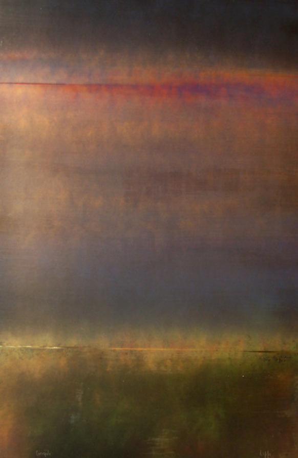 Una traccia nel cielo della sera.