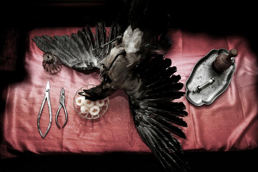 "Life Science" Project "Life Science" Project