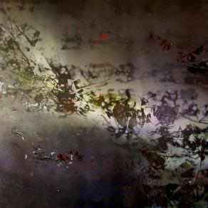 Dall'anima all'anima.