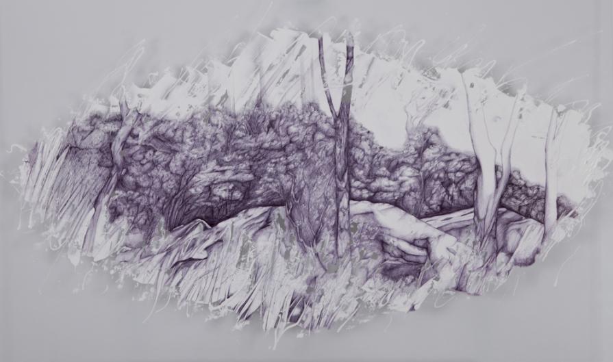 Central Park Series 2013