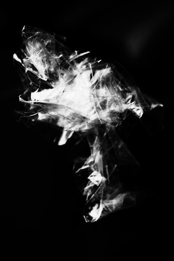 Venus de nigal, singing venus 