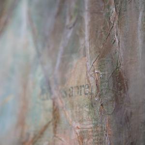 Cowboy news: dettaglio 