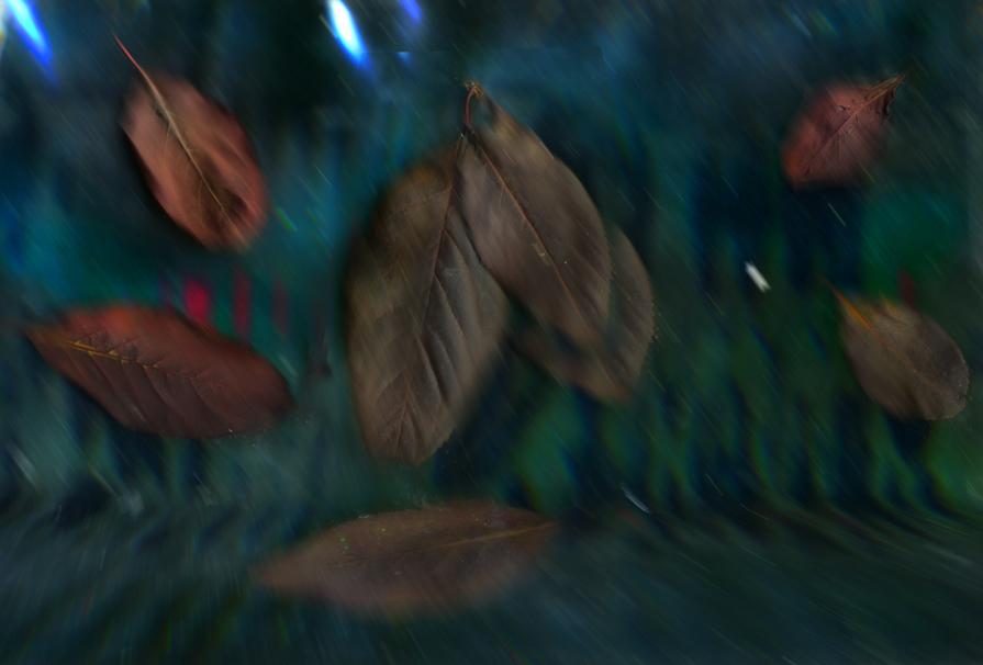 in questa notte d'autunno,di nuovo cadono le foglie,passa il tempo......