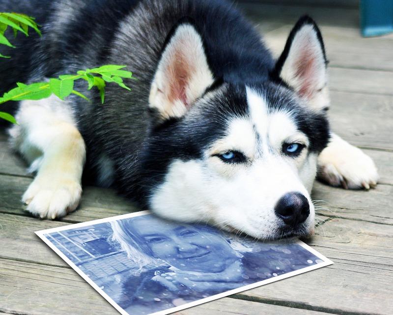 . . . SENZA TE .... SENZA TE !!! . . . 