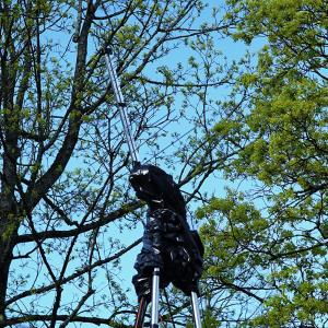 Sgr A* complaining to a black hole