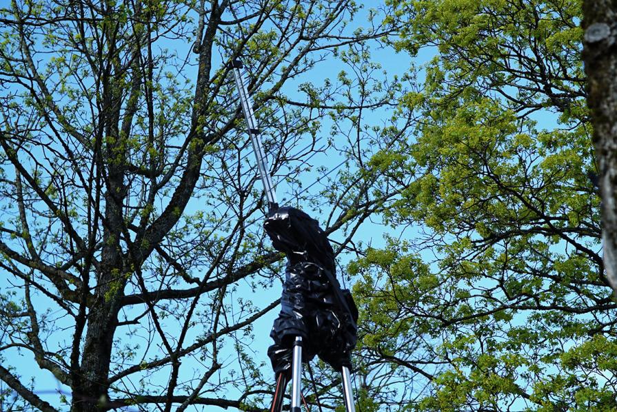 Sgr A* complaining to a black hole