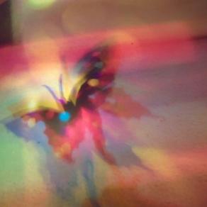 I COLORI DELLA BIODIVERSITÀ